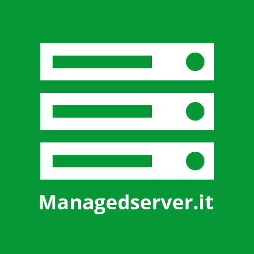 Managed Server S.r.l. logo