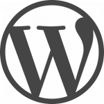 Fast WordPress hosting
