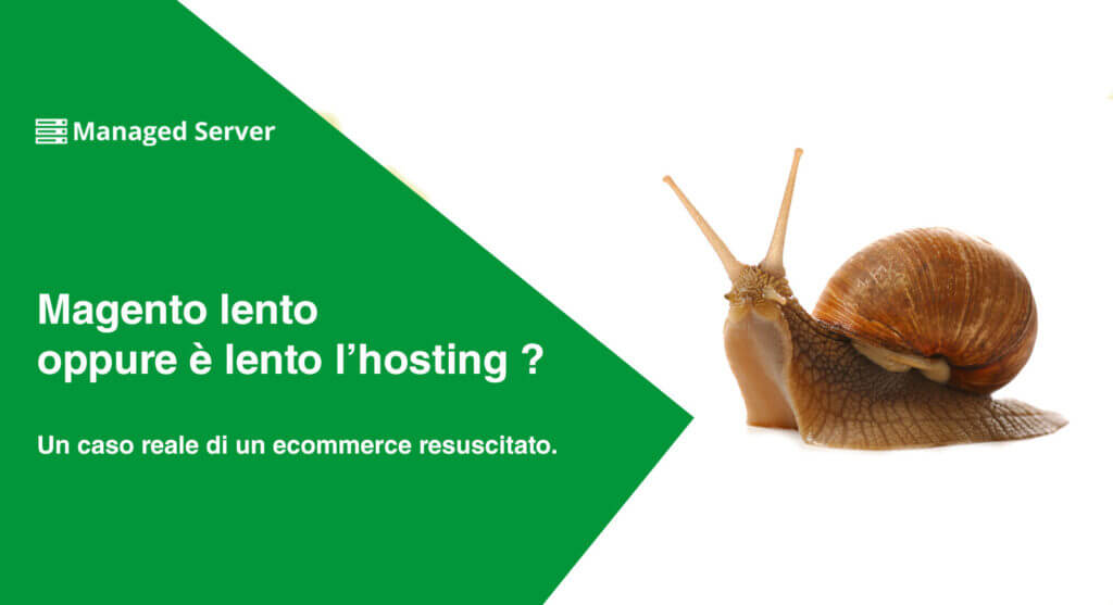 Magento Slow Snail Banner