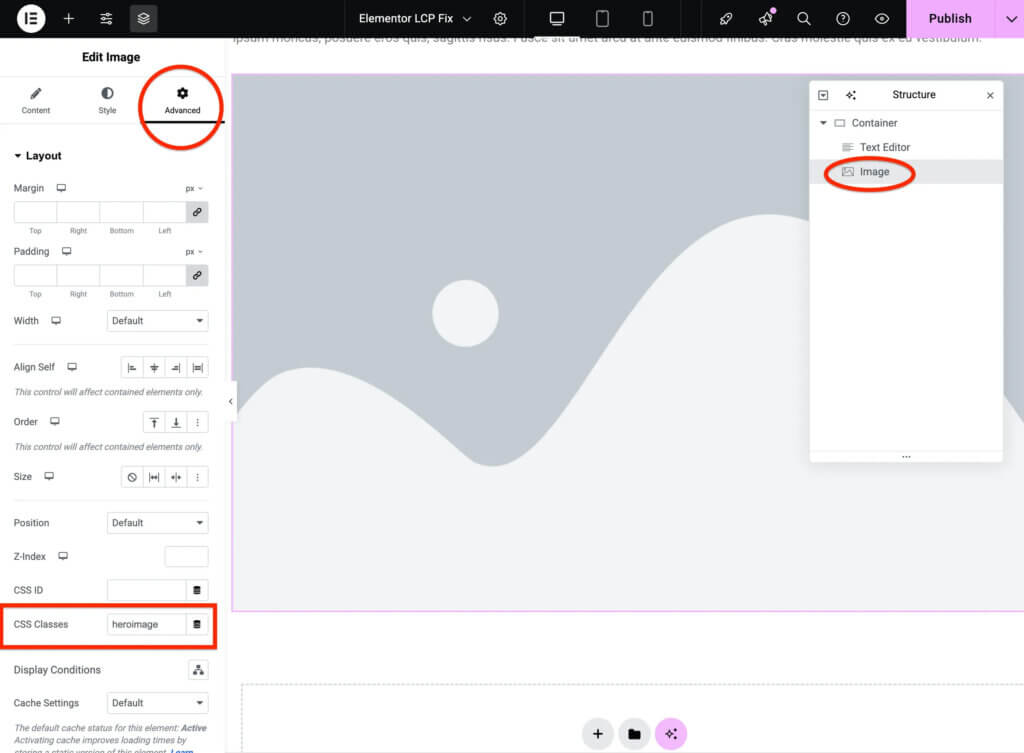 Elementor-FIX-LCP-PageSpeed